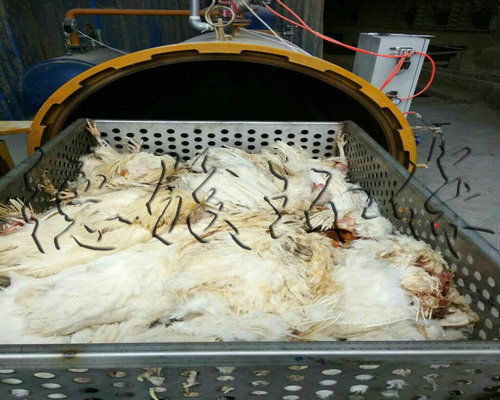德骏环保科技生产厂家 河南死鸡动物疫情无害化处理设备