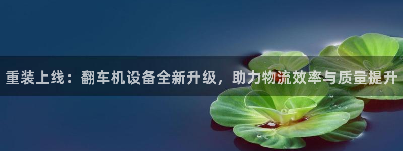 威九国际成长模式怎么样