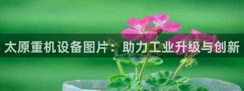 威九国际精彩推荐