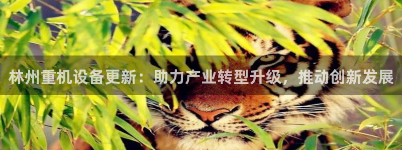 威九国际A