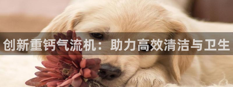 威九国际女儿的朋友
