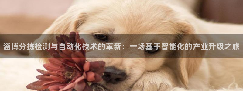 威九国际电子有限公司