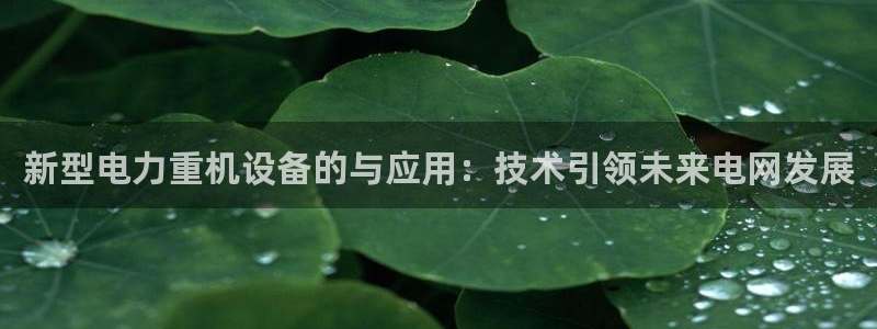 威九国际精忐