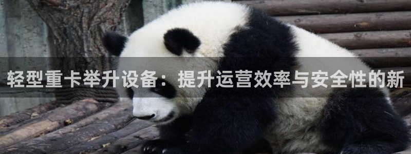 66m威九国际成长模式