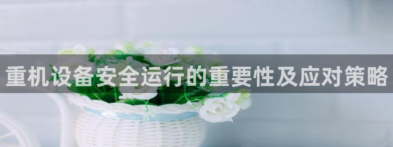 威九国际Info