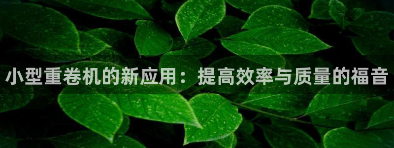 威九国际新人白发
