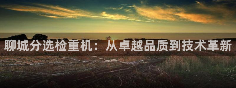 威九国际软件公司简介