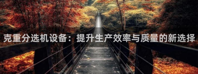 威九国际app下载