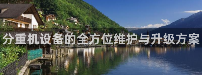威九国际X8