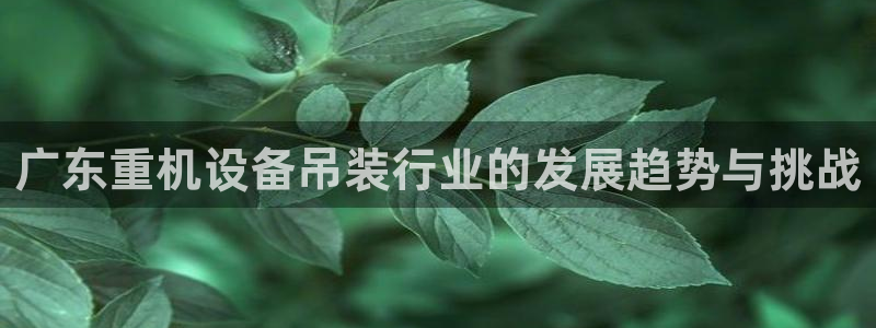 威九国际游戏app(网站)