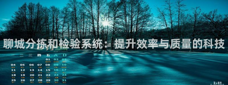 威九国际66m66m