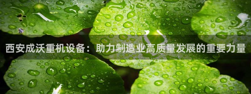 78mapp威九国际成全视频