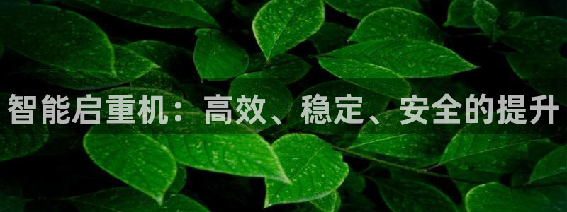 威九国际官网登录入口下载：智能启重机：高效、稳定、安全的提升