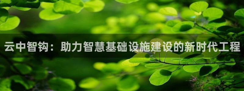 威九国际图片：云中智钩：助力智慧基础设施建设的新时代工程