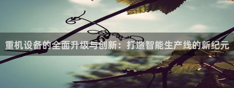 威九国际网站怎么样可靠吗：重机设备的全面升级与创新：打造智能