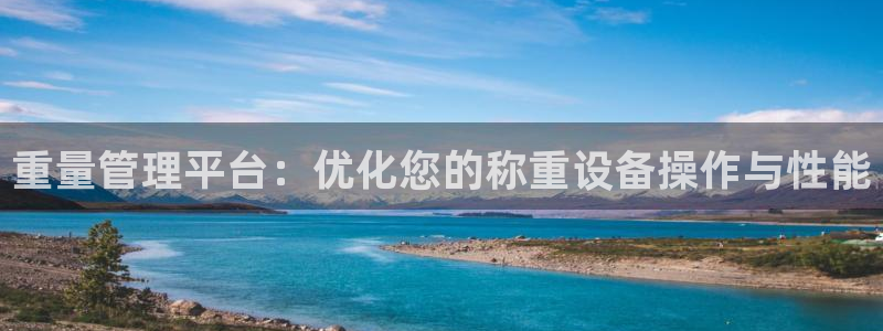 威九国际网站在哪里：重量管理平台：优化您的称重设备操作与性能