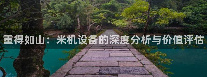 威九国际app下载：重得如山：米机设备的深度分析与价值评估