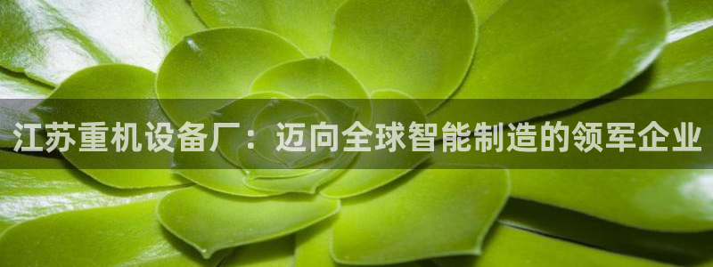 威九国际v9：江苏重机设备厂：迈向全球智能制造的领军企业