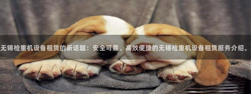 威九国际空降：无锡检重机设备租赁的新话题：安全可靠、高效便捷