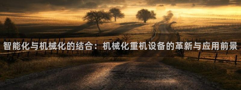 威九国际官网登录入口：智能化与机械化的结合：机械化重机设备的