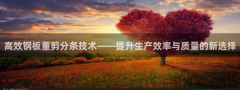 威九国际下载官网app：高效钢板重剪分条技术——提升生产效率