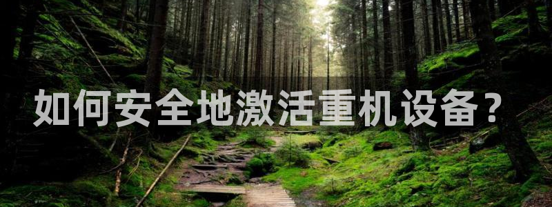 威九国际电视怎么样：如何安全地激活重机设备？