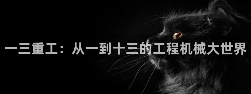 威九国际w98：一三重工：从一到十三的工程机械大世界