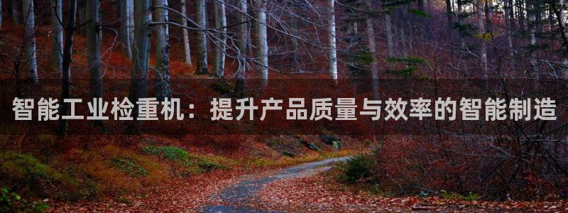 威九国际网站入口&rdpuo：智能工业检重机：提升产品质量与