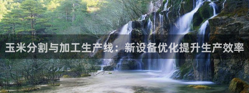 威九国际免费：玉米分割与加工生产线：新设备优化提升生产效率