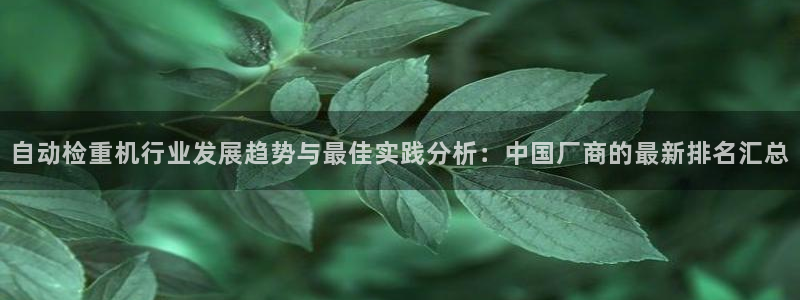 威九国际女主名字：自动检重机行业发展趋势与最佳实践分析：中国