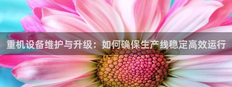 威九国际网站在哪里
