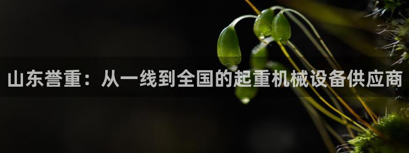 威九国际旗下艺人有谁：山东誉重：从一线到全国的起重机械设备供