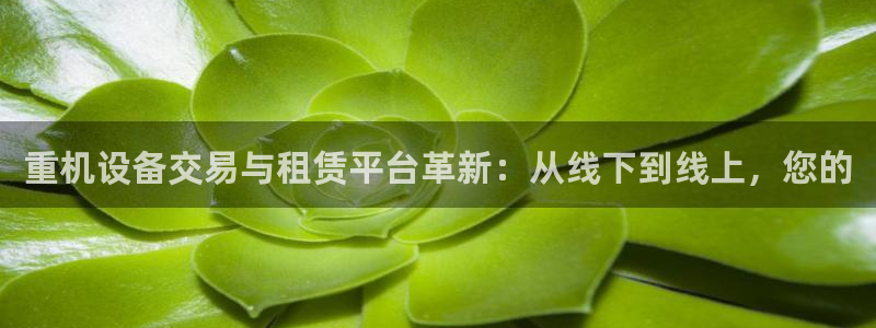 威九国际可以提现吗是真的吗