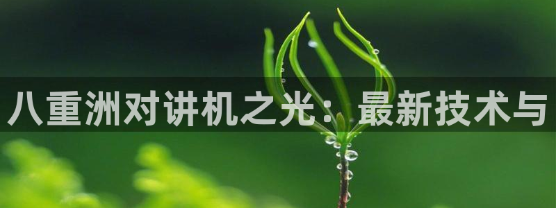 威九国际网站怎么样