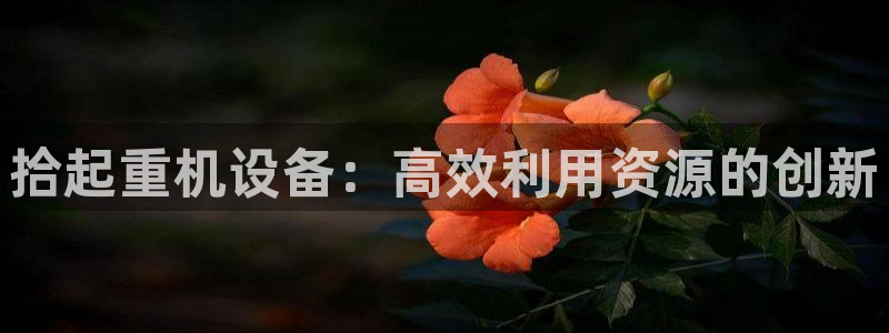 66m威九国际成长模式