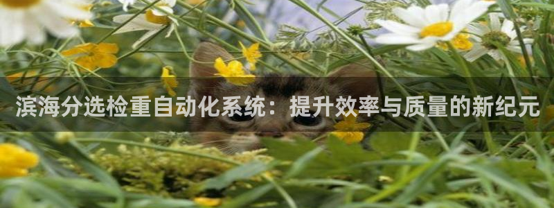 威九国际精修! #手机使用技巧
