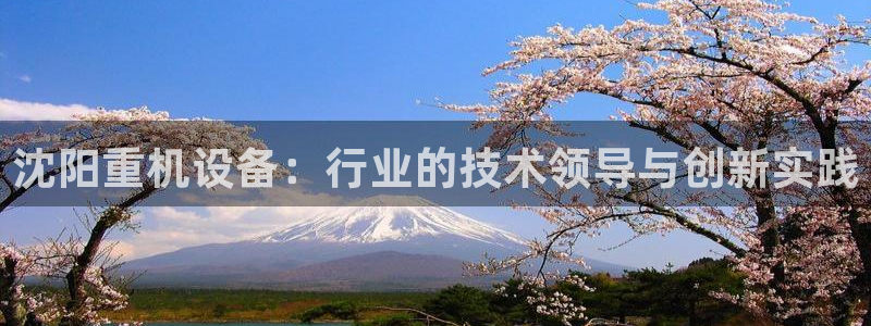 威九国际客服电话是多少