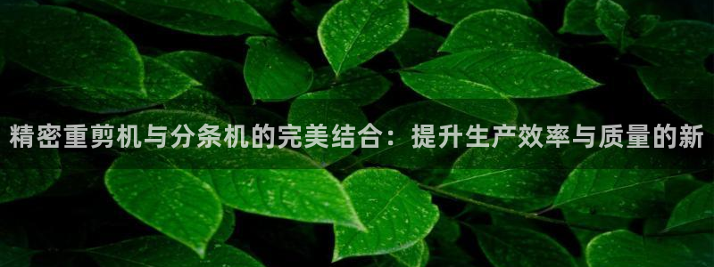 威九国际app入口在哪：精密重剪机与分条机的完美结合：提升生
