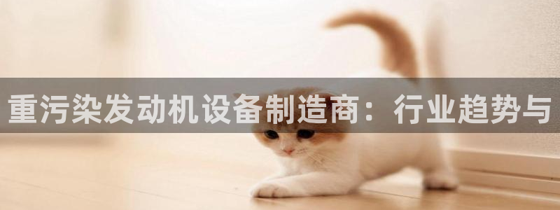 保定威九网络科技有限公司怎么样