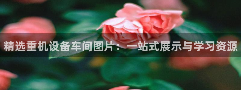 威九国际app网站官网