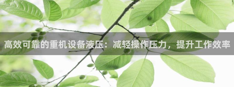 威九国际可以赚到钱：高效可靠的重机设备液压：减轻操作压力，提