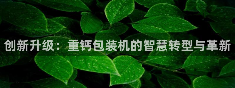 78.m威九国际官网版：创新升级：重钙包装机的智慧转型与革新