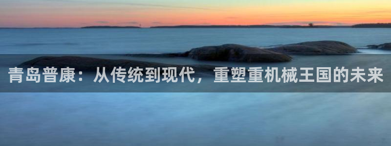 威九国际网站入口地址查询：青岛普康：从传统到现代，重塑重机械