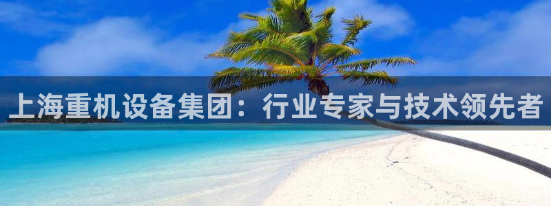 威九国际网站客服电话多少号：上海重机设备集团：行业专家与技术