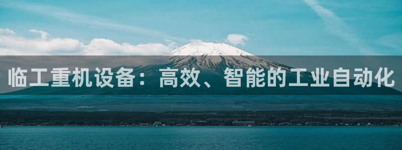 威九国际全国空降：临工重机设备：高效、智能的工业自动化