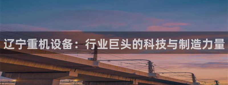 威九国际官网登录入口网站：辽宁重机设备：行业巨头的科技与制造