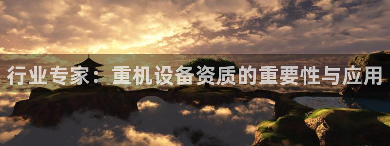 威九国际集团66m一6：行业专家：重机设备资质的重要性与应用