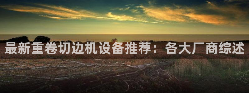 威九国际后爸：最新重卷切边机设备推荐：各大厂商综述