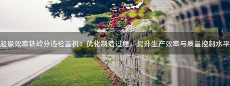 威九国际网站安全吗：超级效率铁岭分选检重机：优化制造过程，提