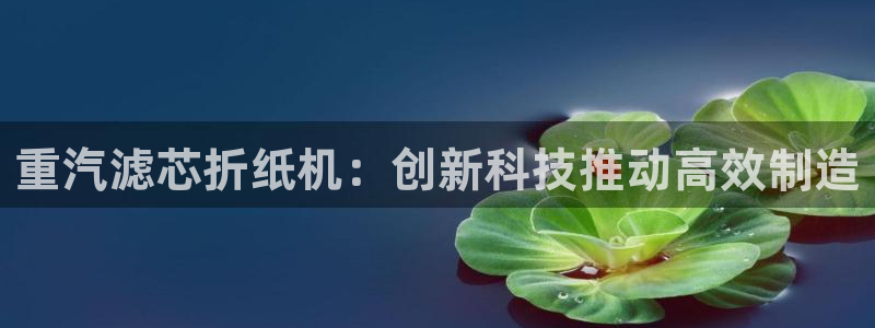 威九国际ppt免费：重汽滤芯折纸机：创新科技推动高效制造